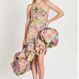 NWT!!! Cult Gaia Helena One Shoulder Gown in Floral Rain.